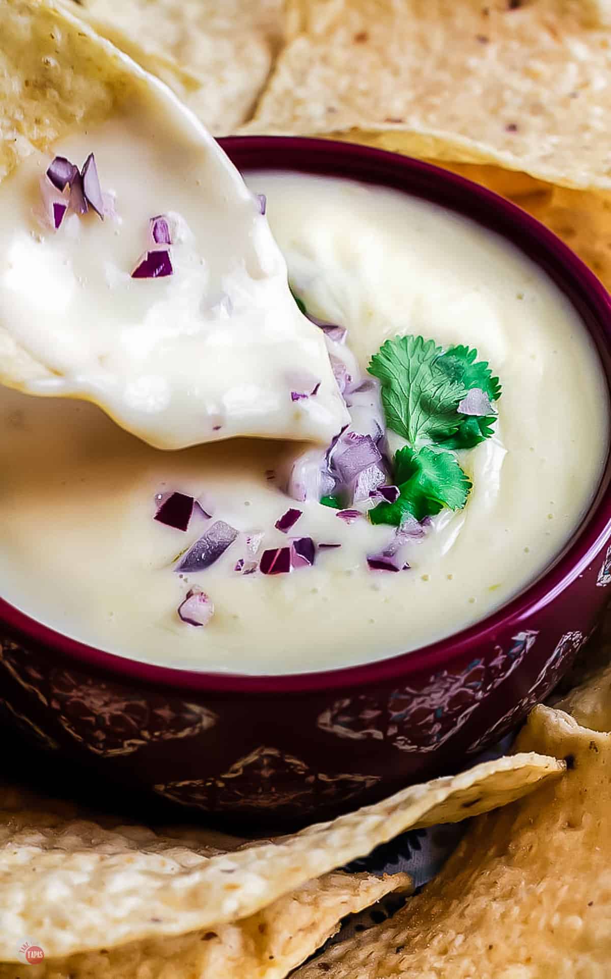 close up of white cheese dip in a purple bowl with chopped red onions and cilantro on top
