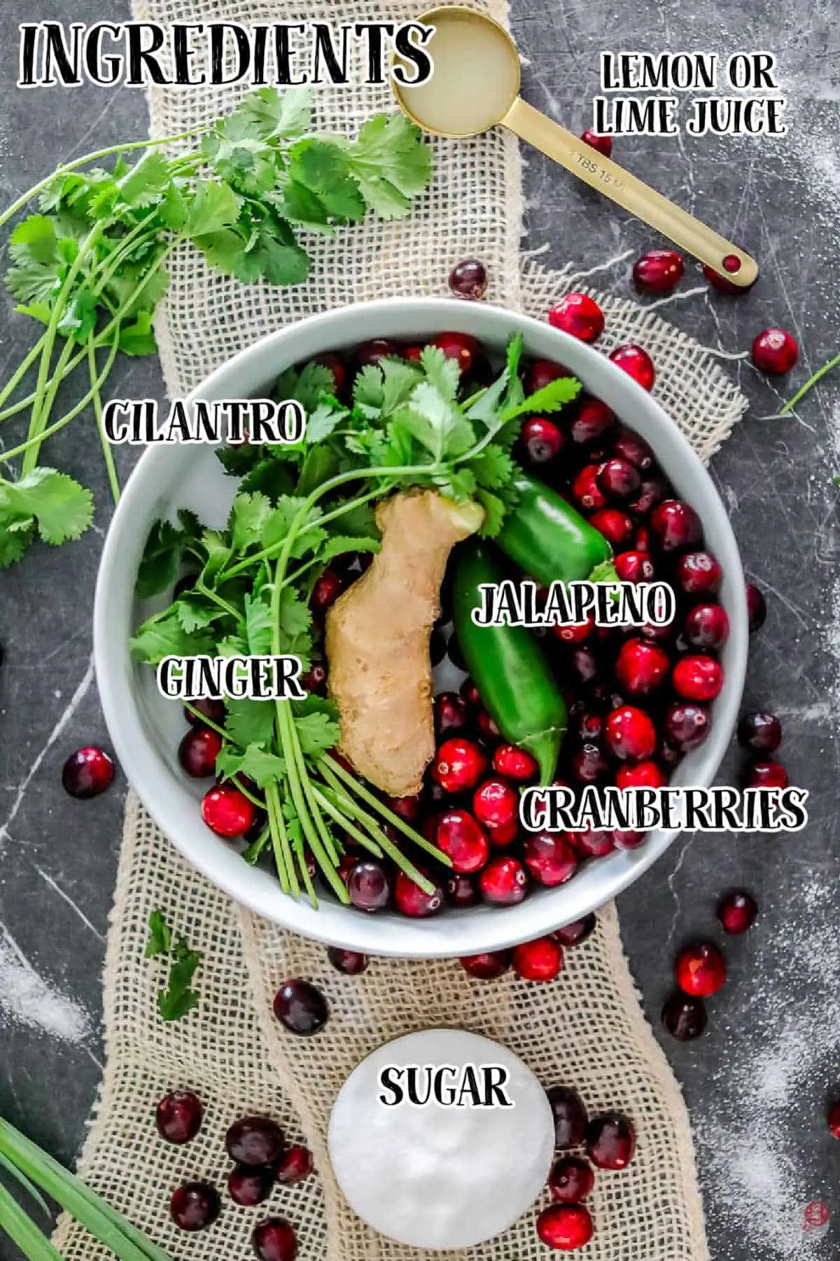 ingredients for cranberry cream cheese dip