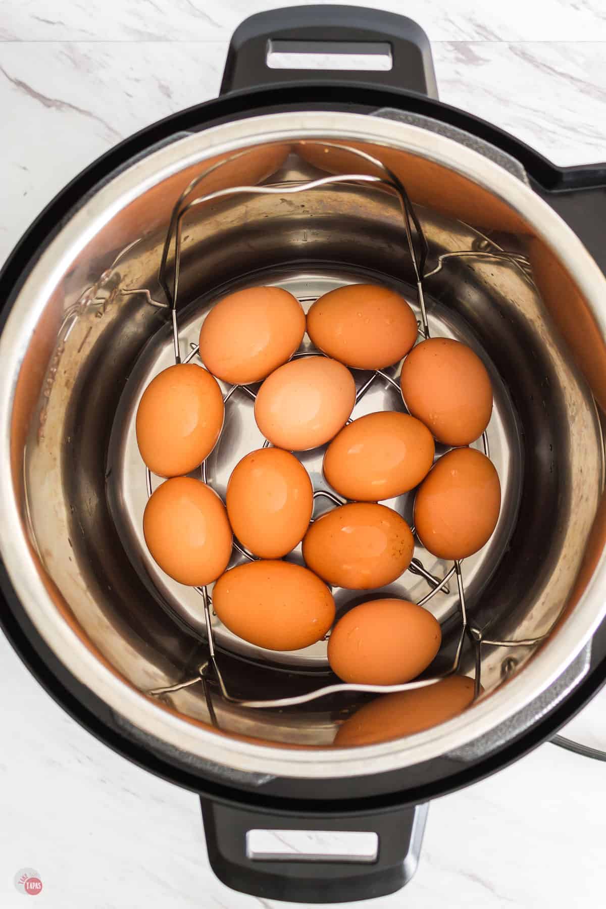 pot of eggs