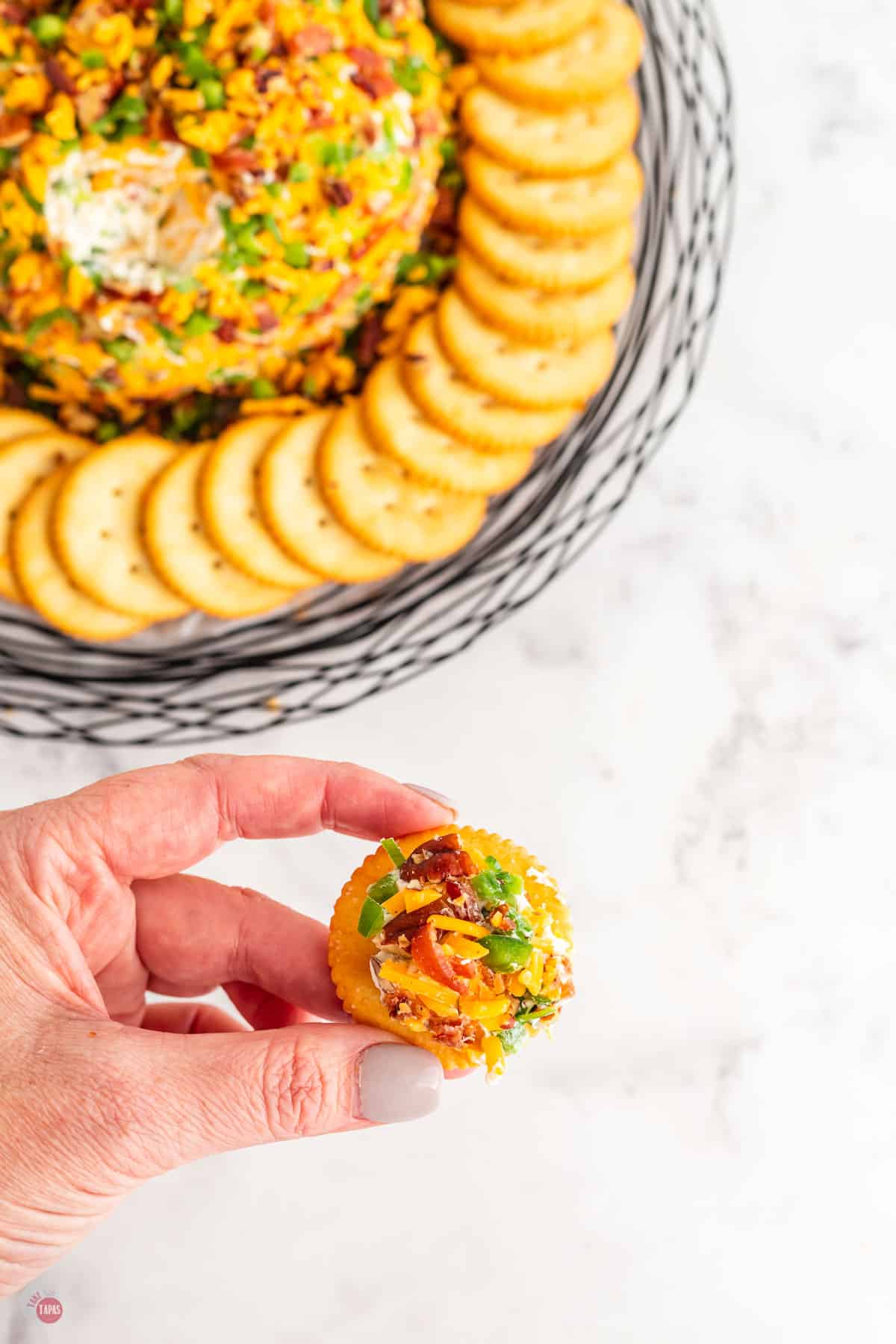 hand holding a cracker with cheese ball spread on it