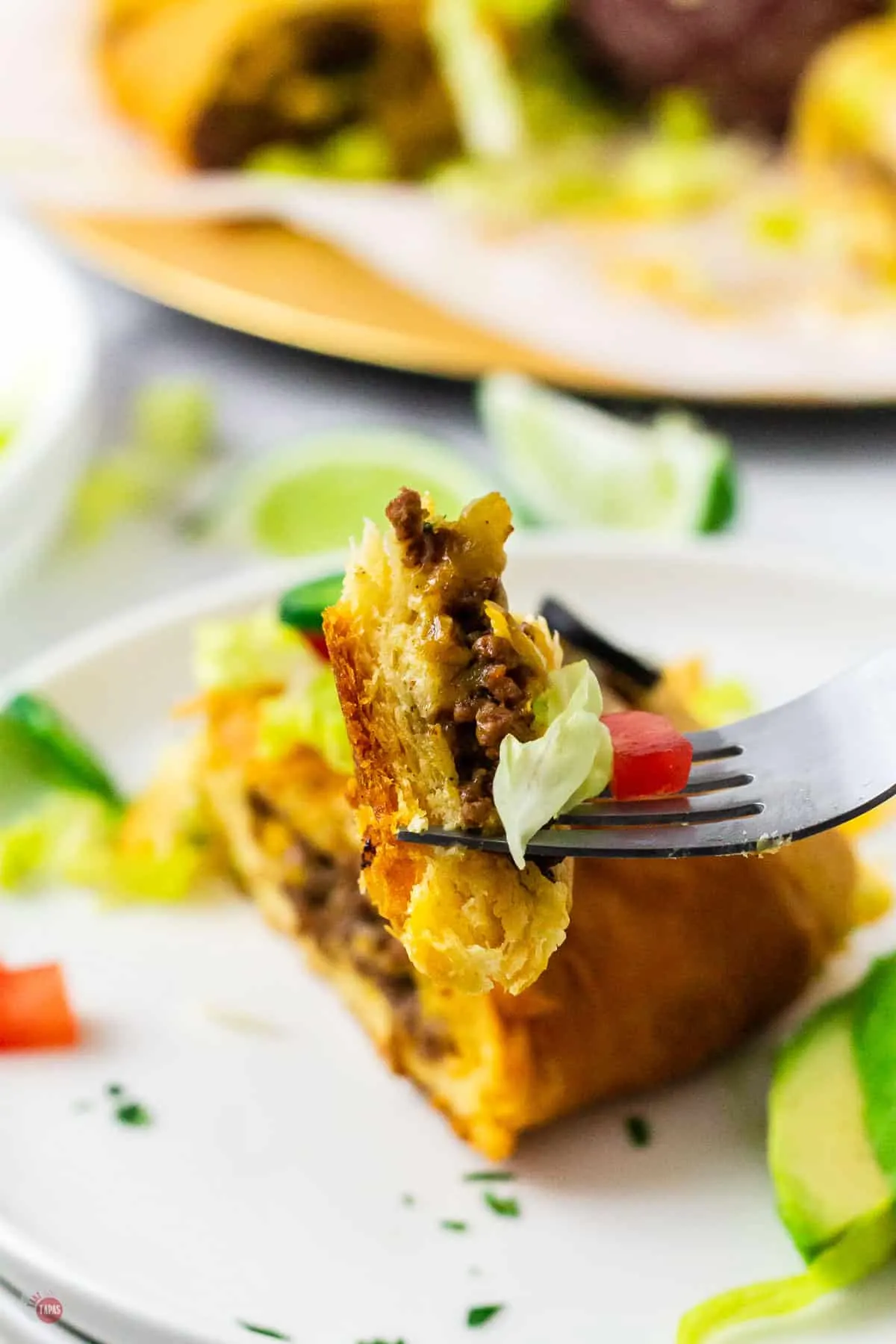 fork of taco ring bite