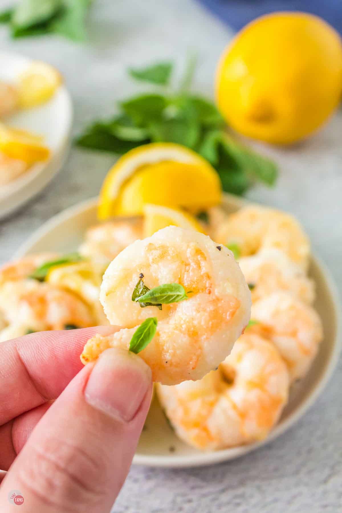 hand holding a shrimp
