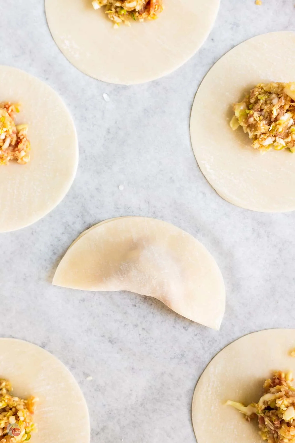 gyoza folded in half