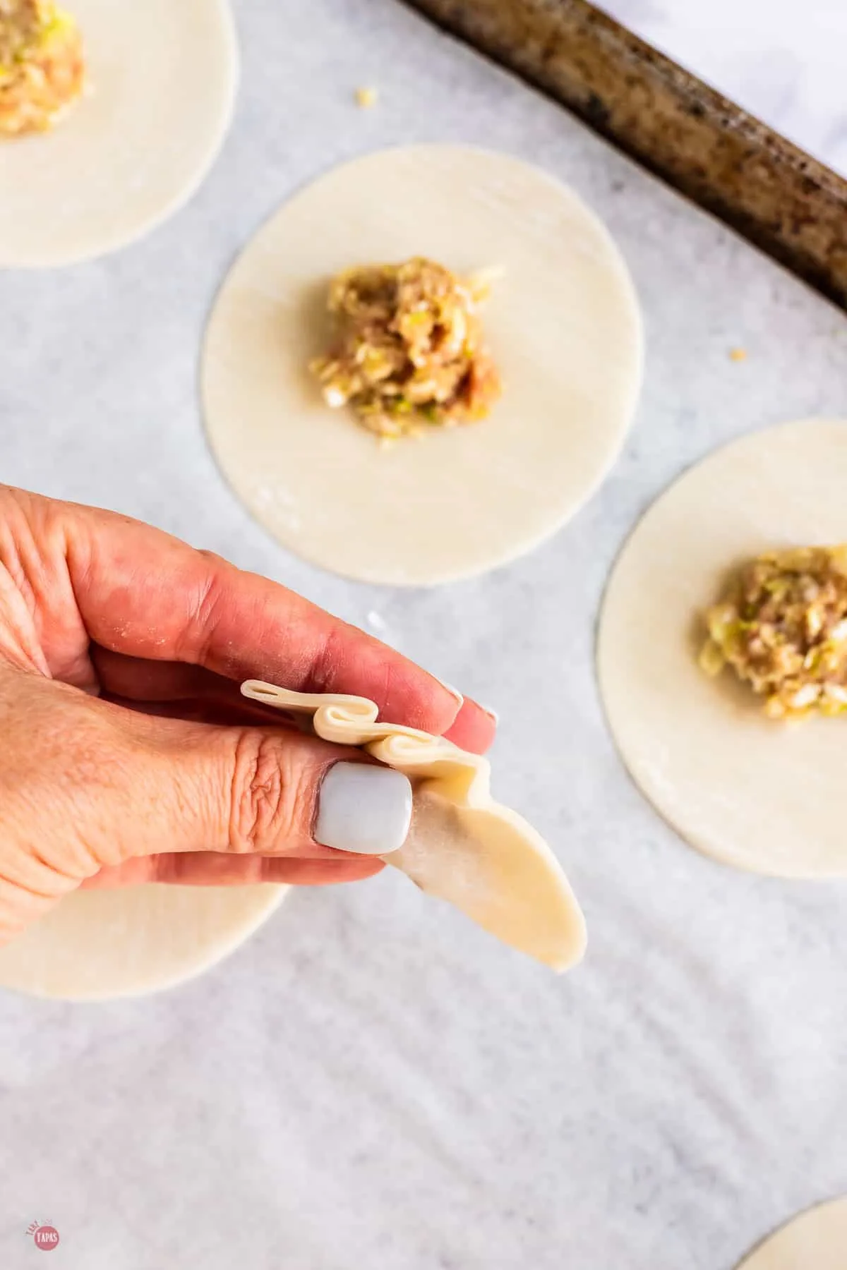 pleats in dumpling dough
