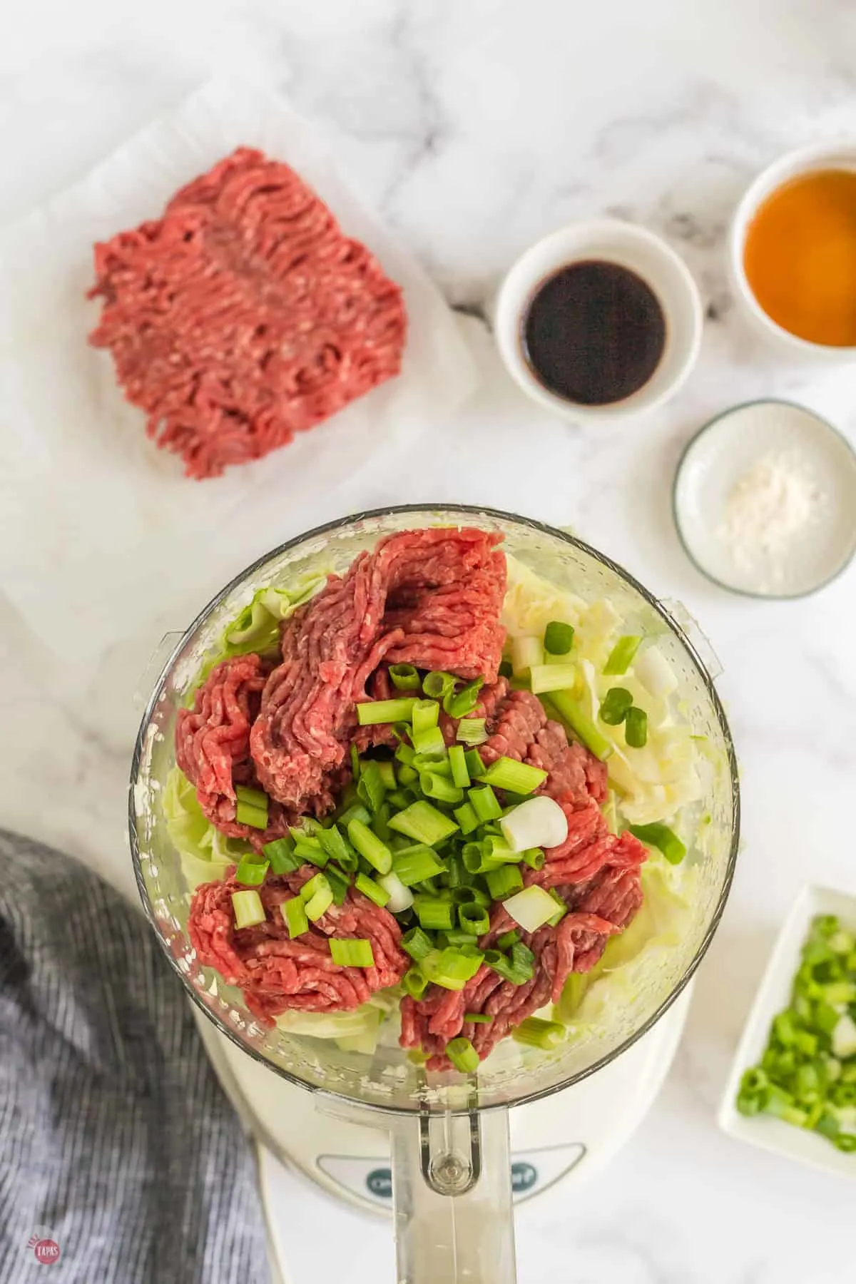 beef and green onions in a food processor