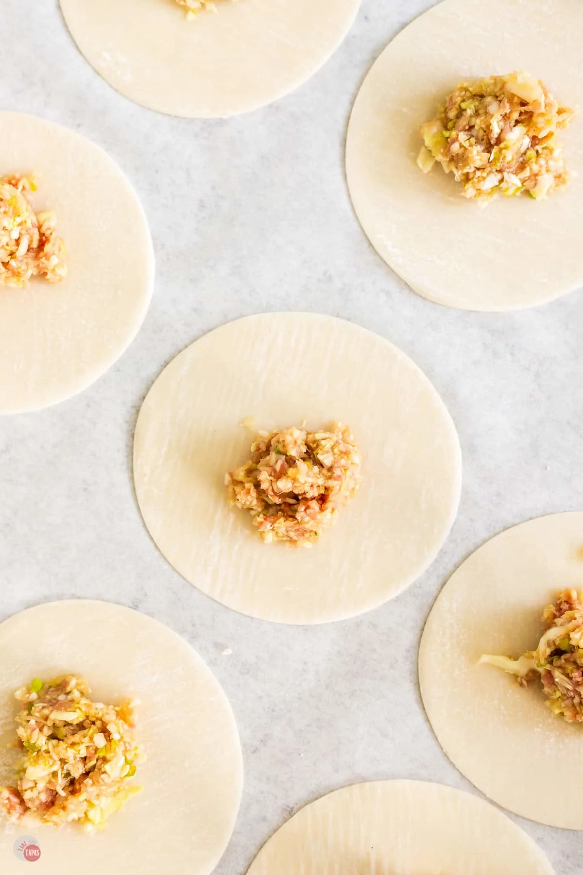 gyoza unsealed