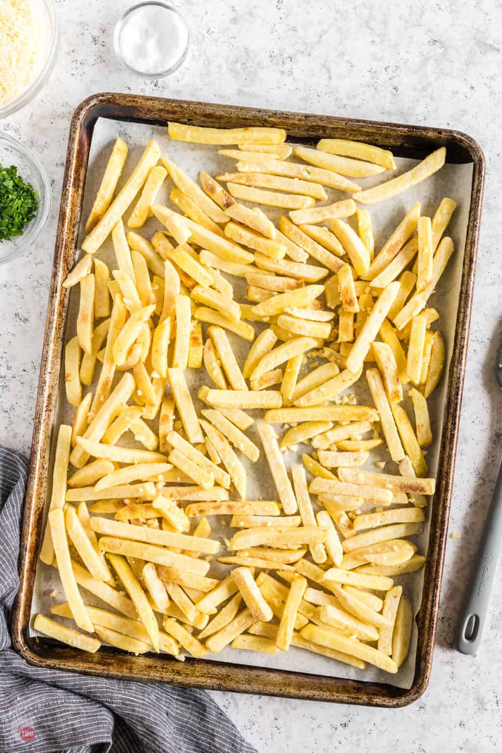 Garlic Parmesan Fries Take Two Tapas