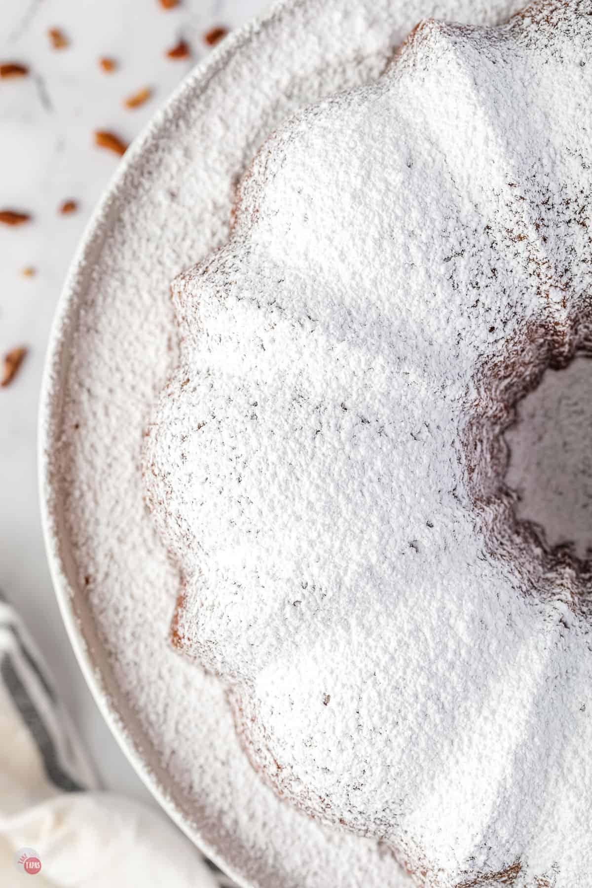 close up of bundt cake with powdered sugar