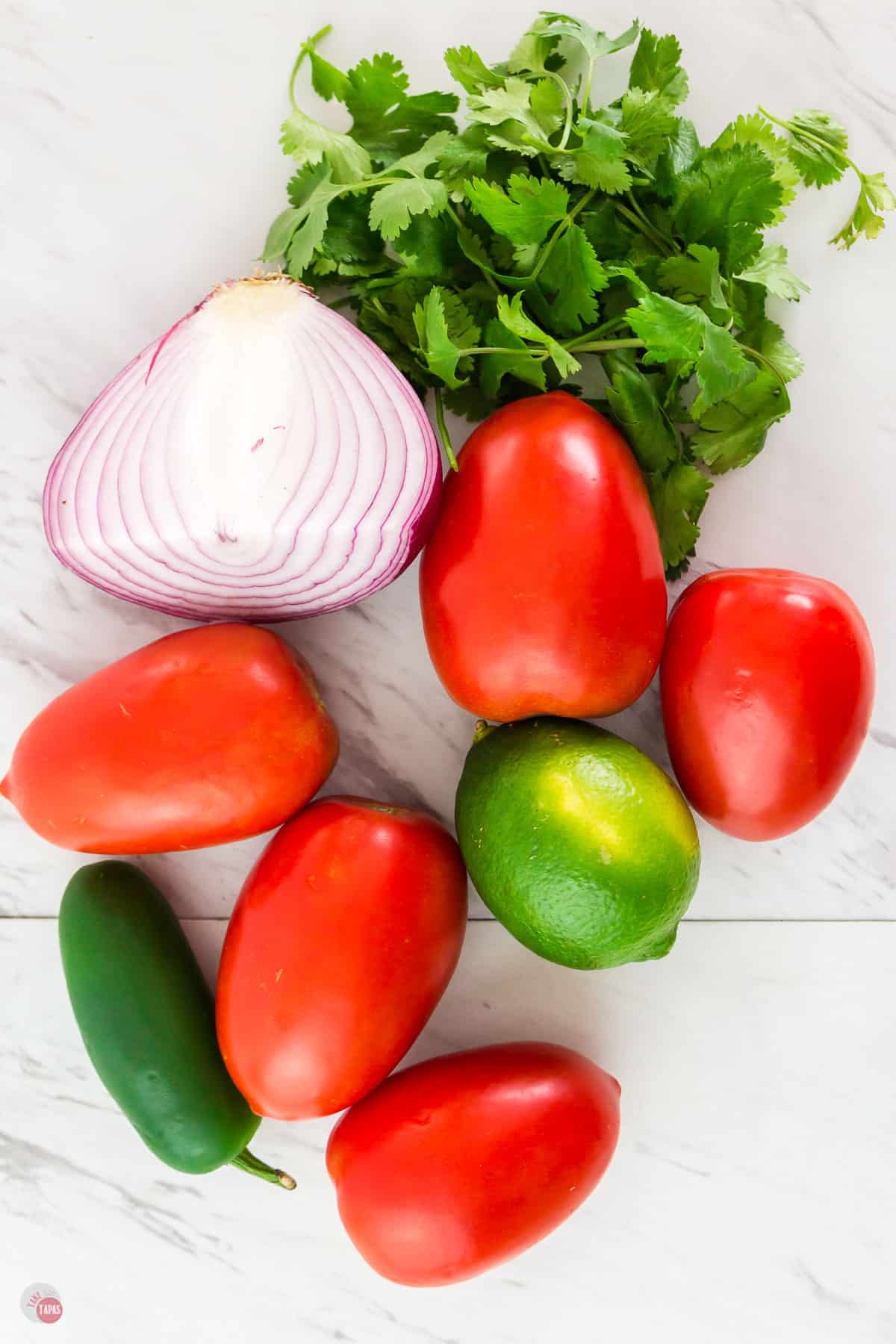 tomatoes, cilantro, and onions on marble