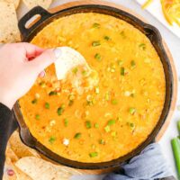 pan of dip with chips