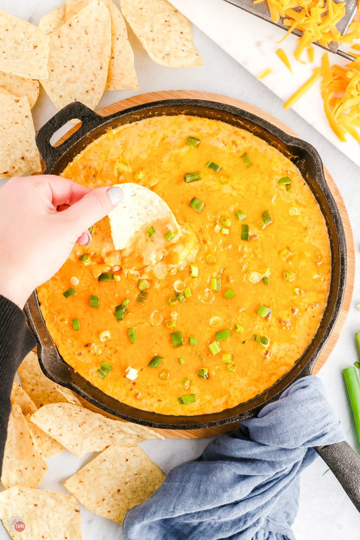 2-ingredient Crock Pot Cheese Dip Recipe - Crazy for Crust