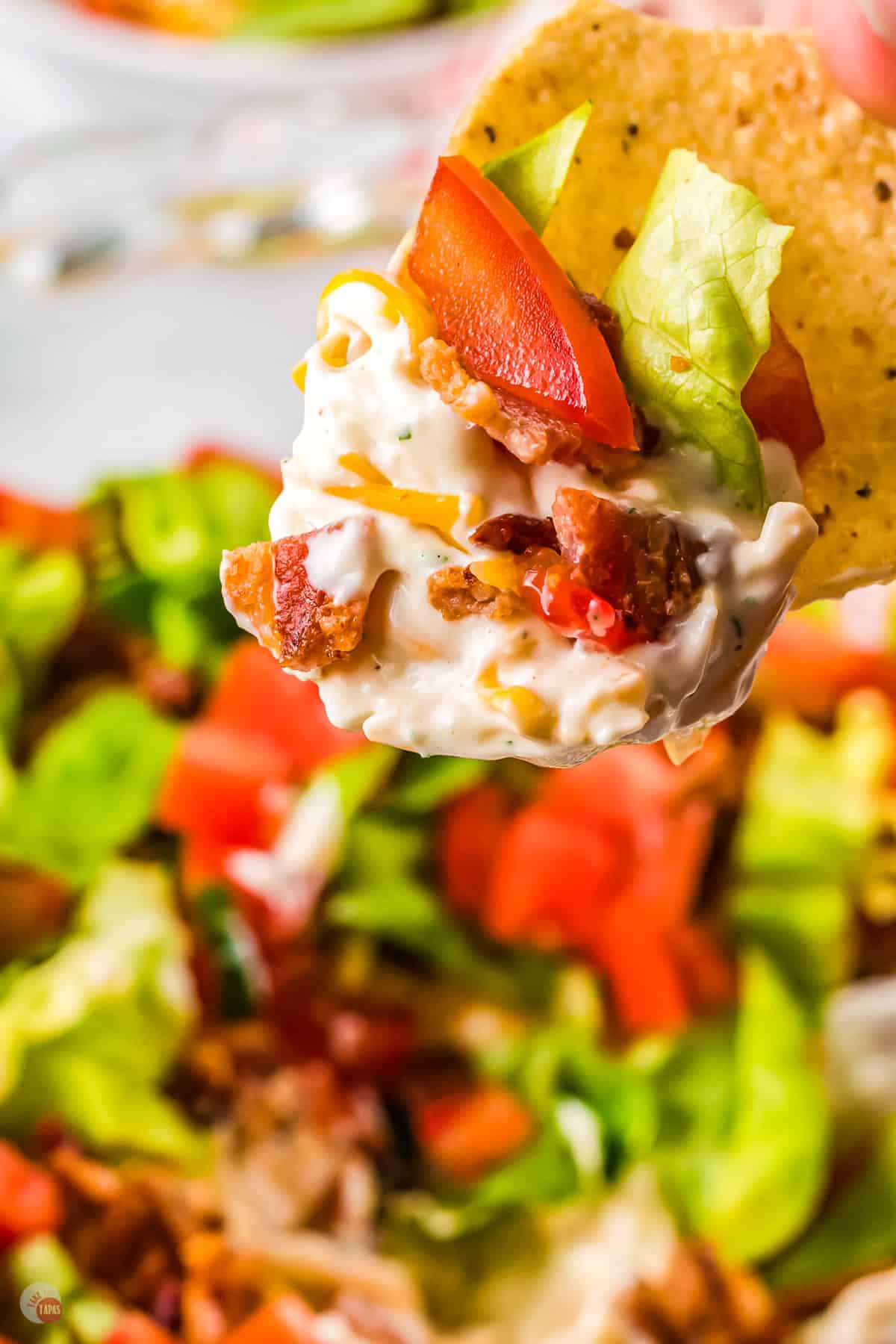 A chip covered in a BLT Dip creamy sauce, mince, bacon, cheese, lettuce and tomatoes, being held in mid-air. 