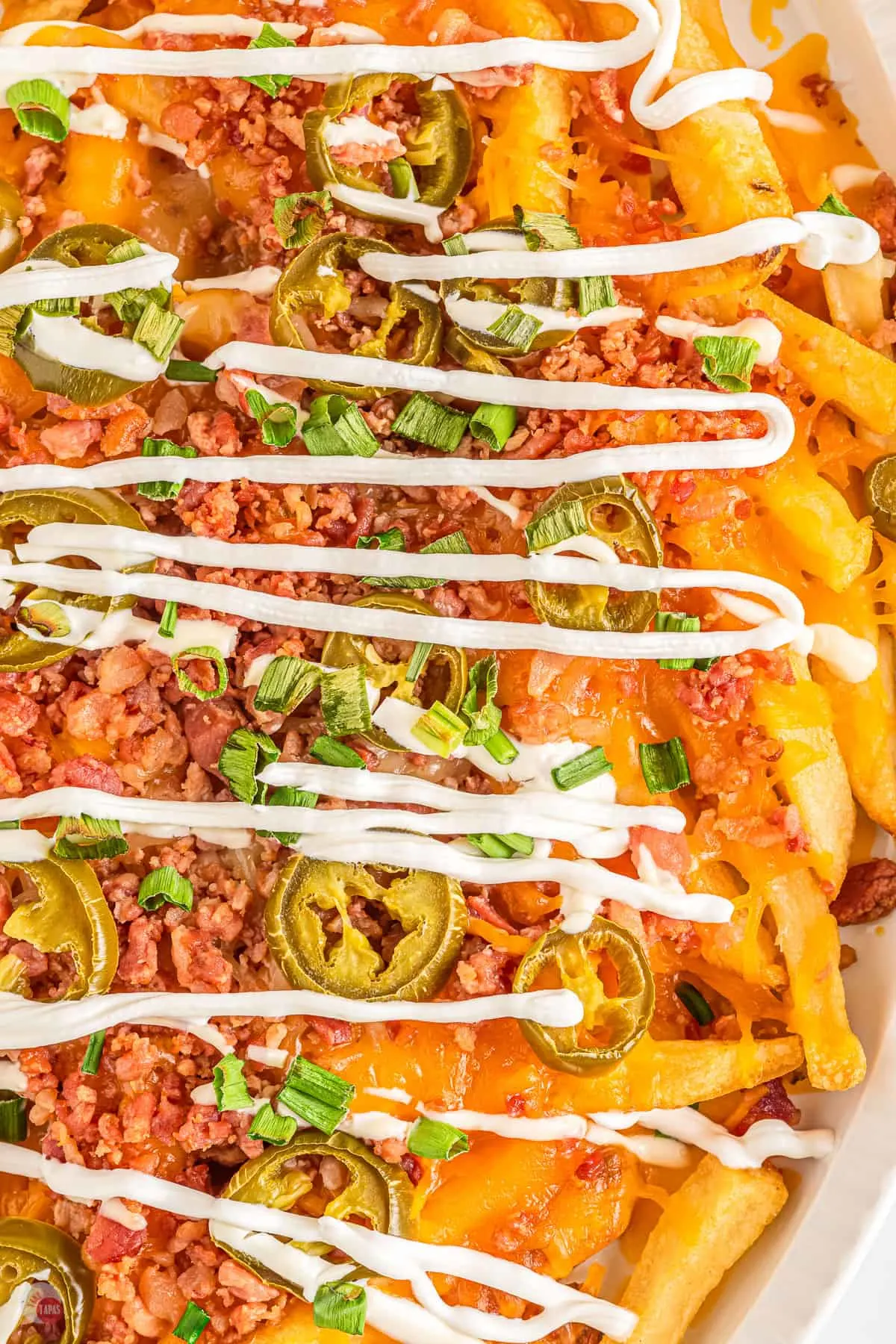 Close up of french fries loaded with cheese, bacon, and jalapeños, topped with green onions and drizzled with sour cream in a white baking dish.