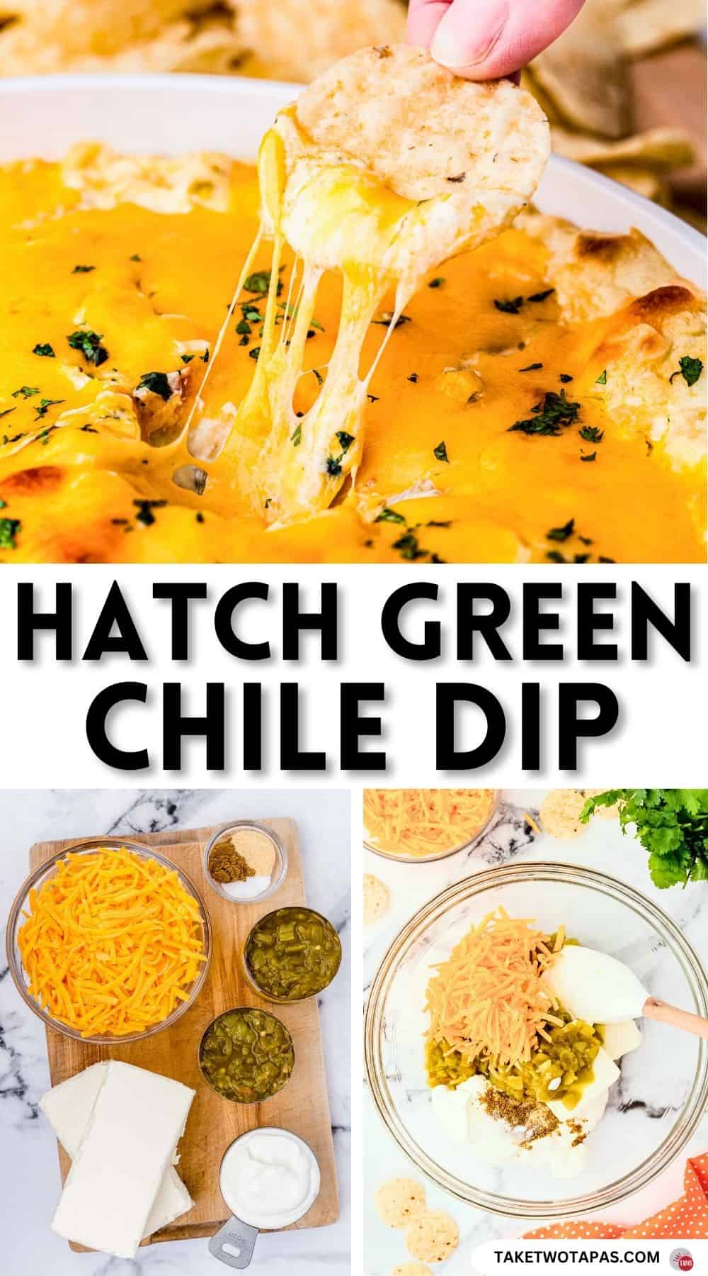 Pinterest pin image for green chile dip recipe