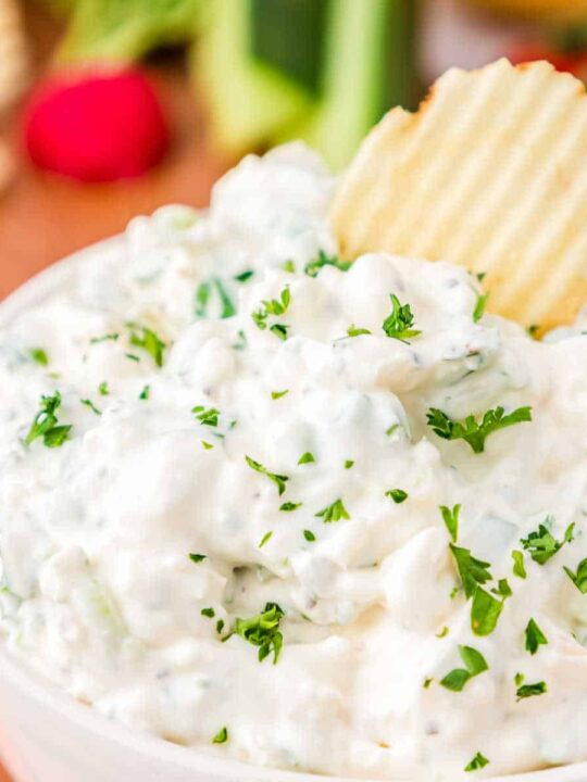 Green Onion Dip (Super Easy & Creamy) Take Two Tapas