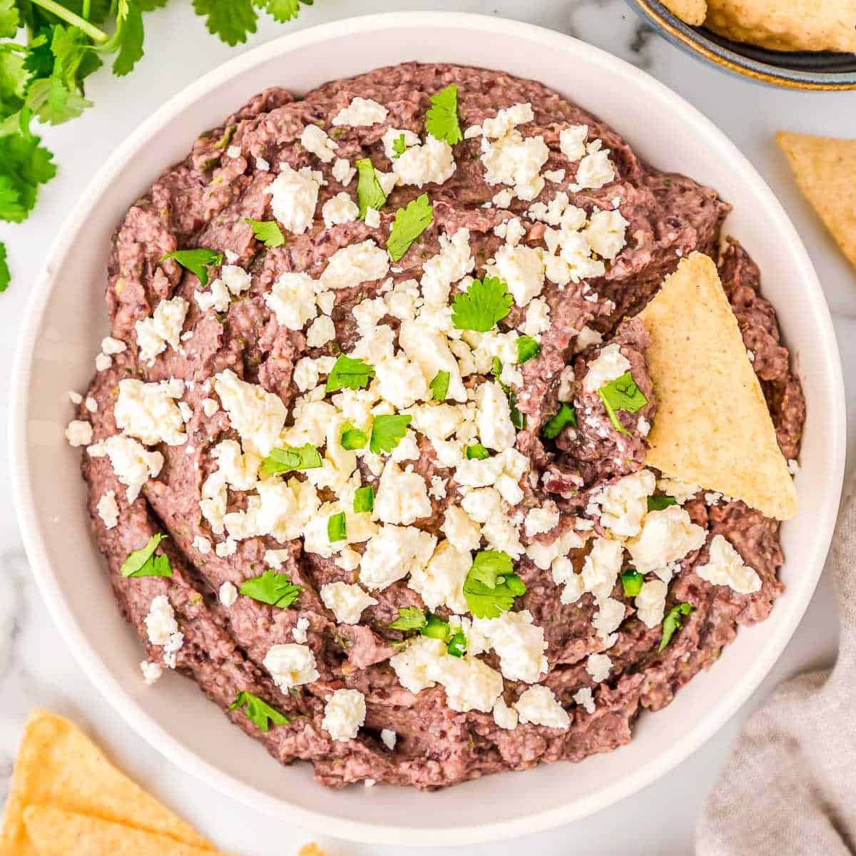 black bean dip with a tortilla chip in it