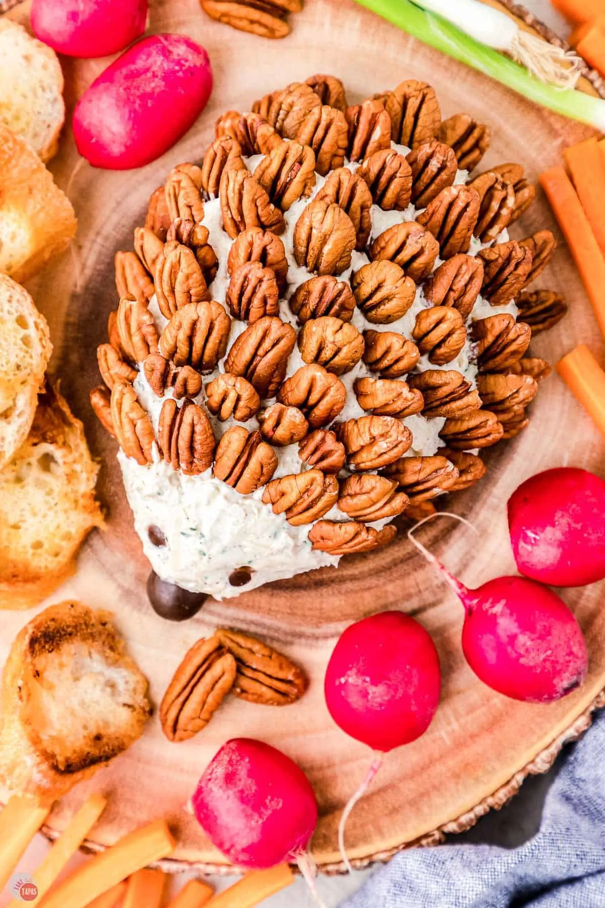 overhead picture of hedgehog cheese ball