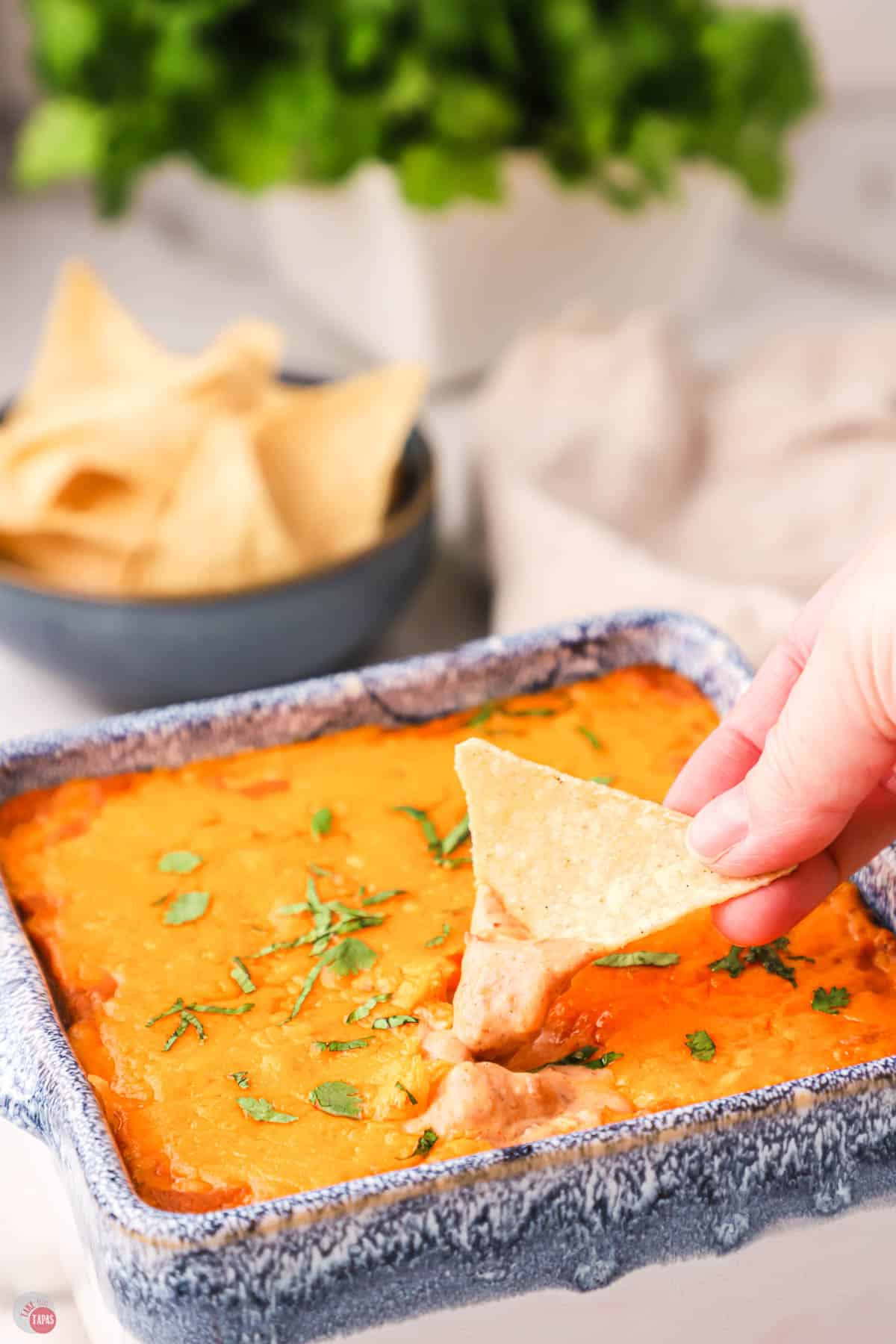 tortilla chip scooping out some dip out of a blue bowl