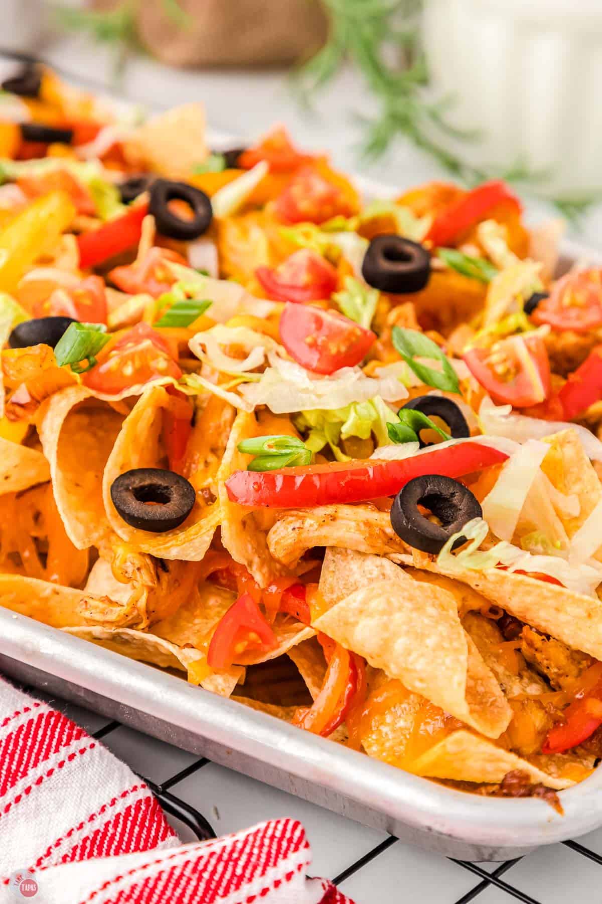 close up of fajita nachos