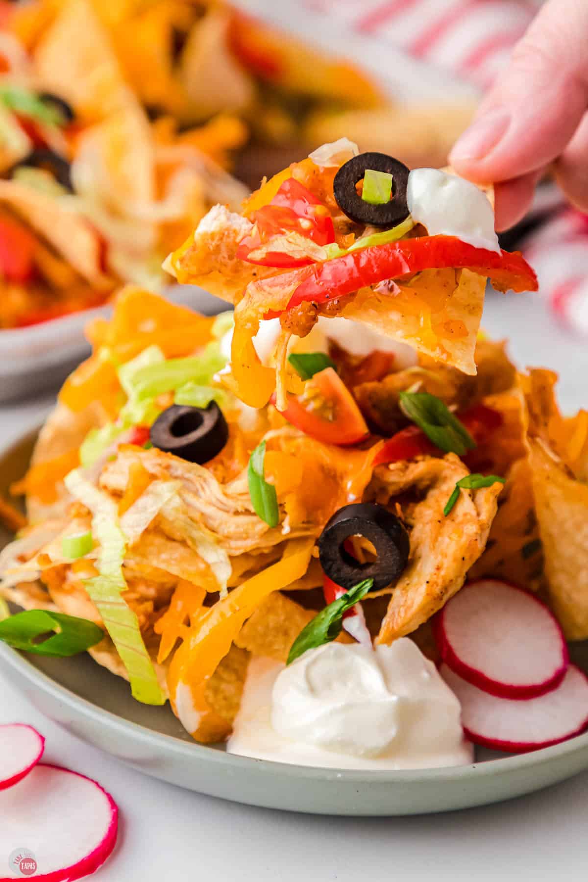 fajita nachos in a hand