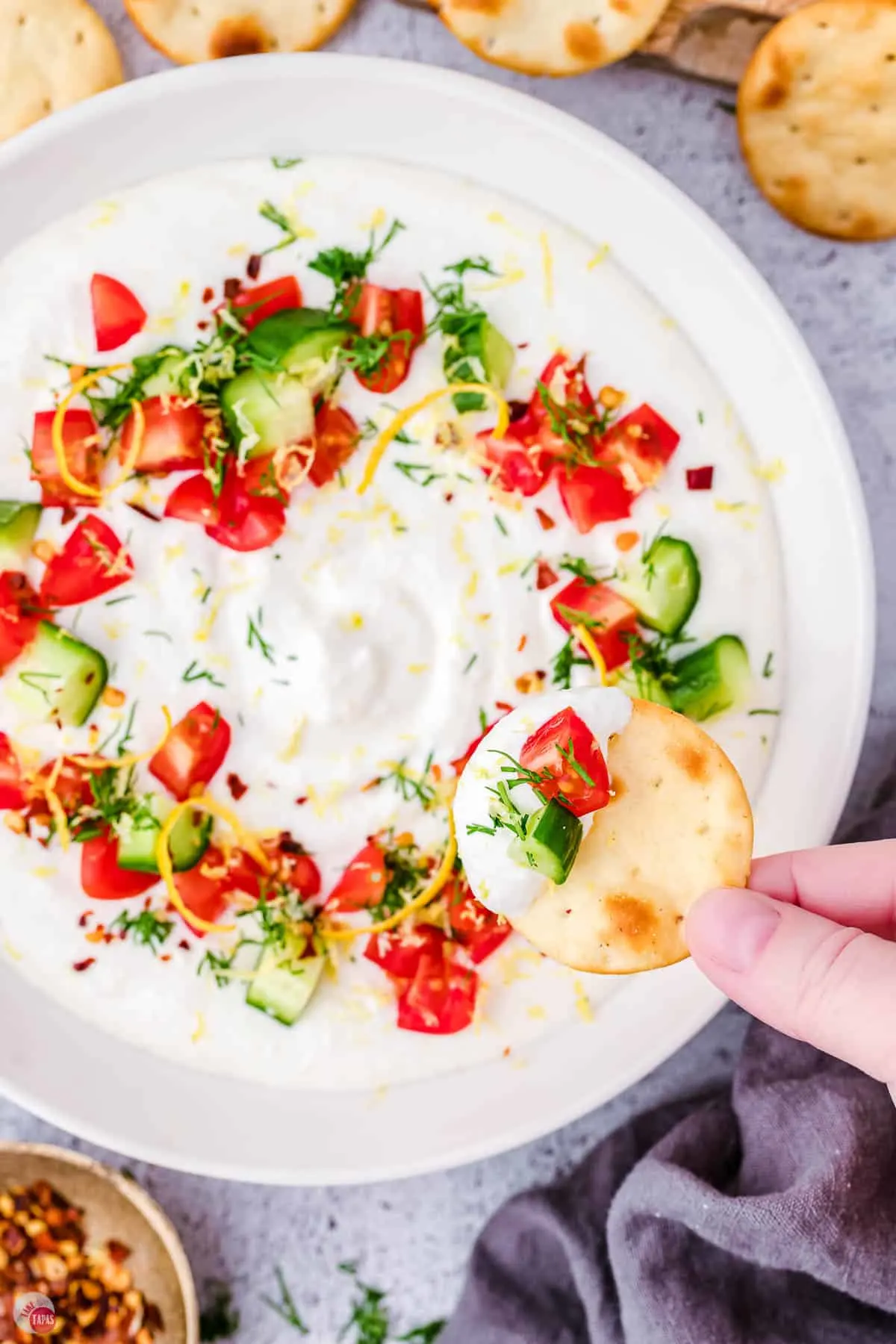 overhead pic of bowl of dip with a hand holding a cracker