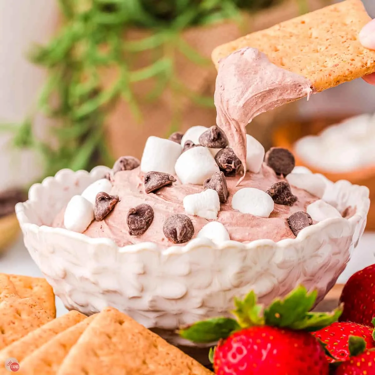 hot cocoa dip