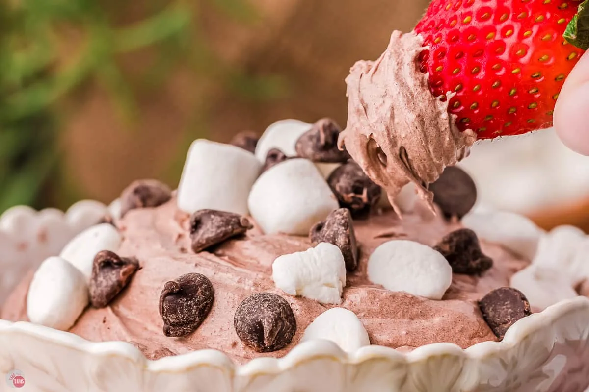 strawberry and chocolate dip with marshmallows and chocolate chips