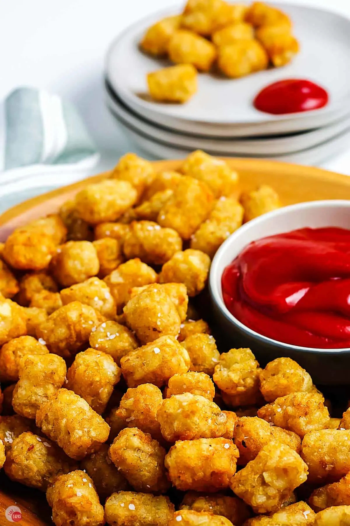 tots on a platter with ketchup