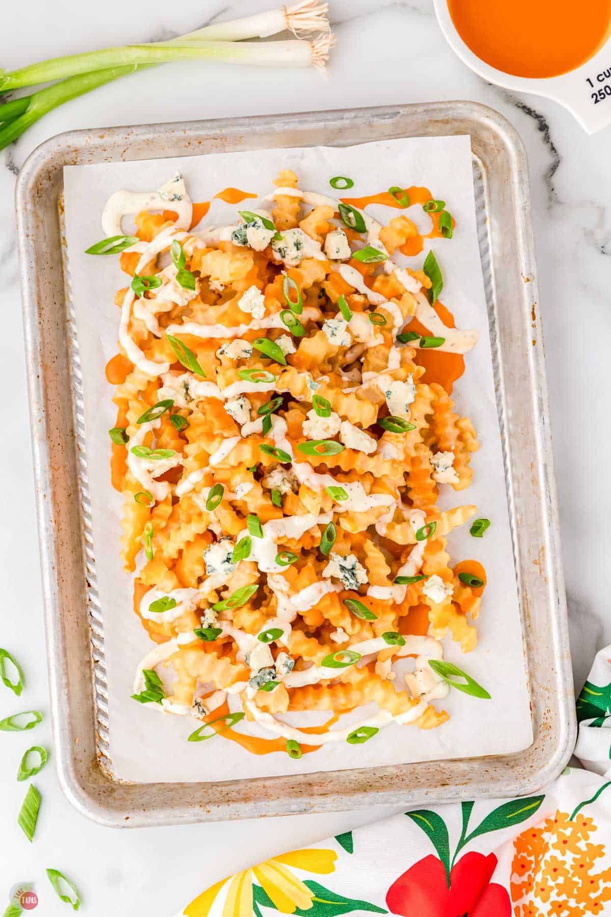 overhead picture of buffalo fries