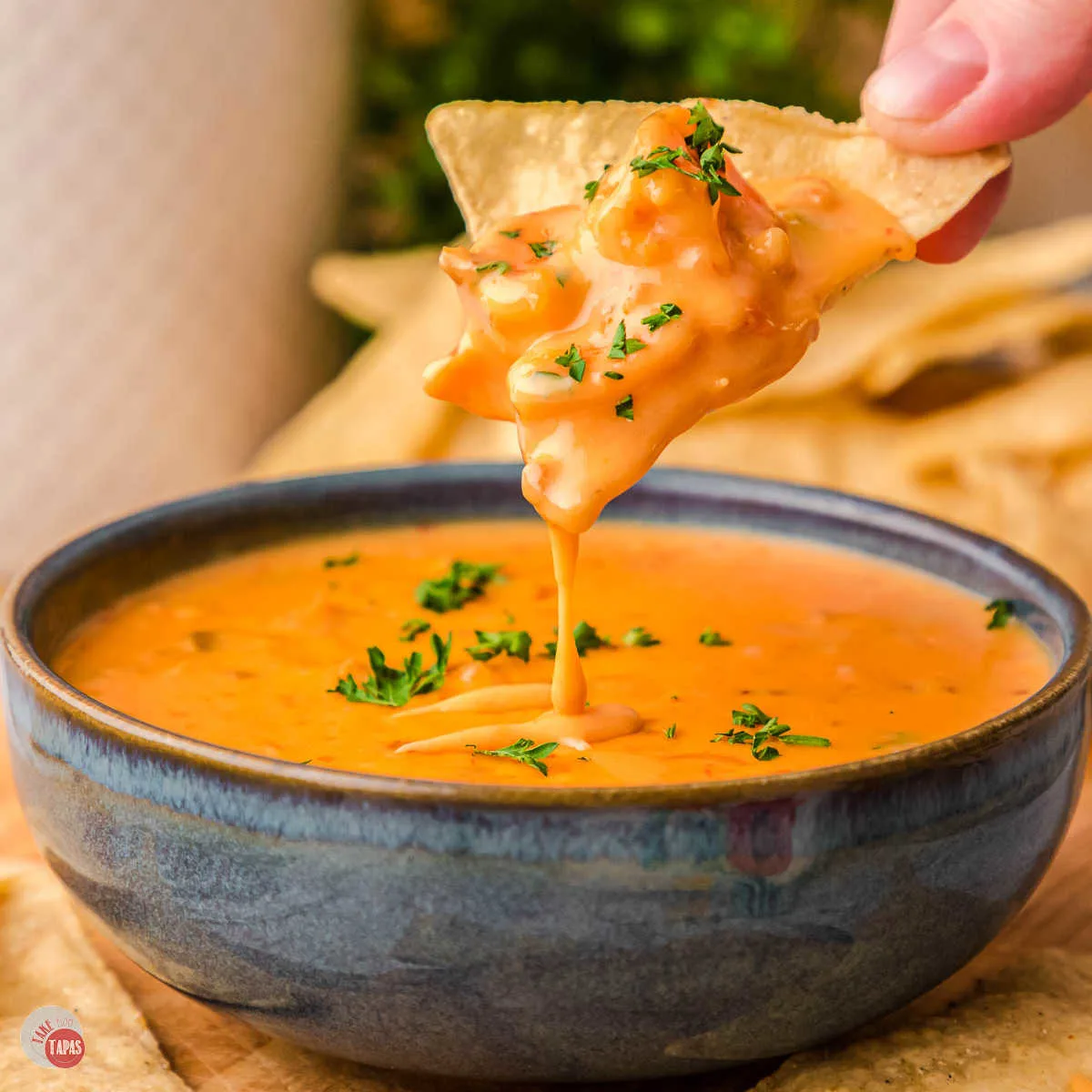 bowl of shrimp rotel dip