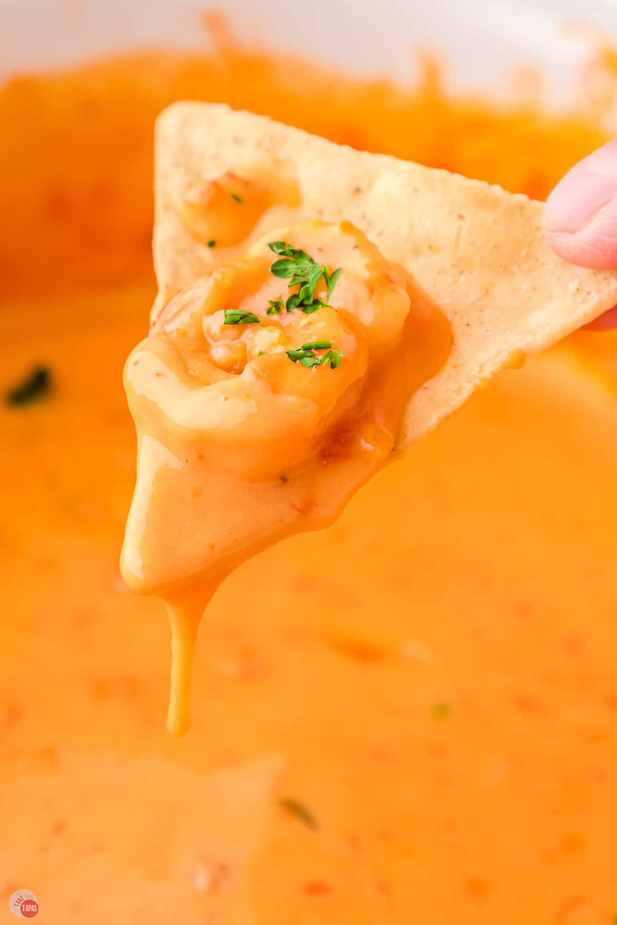 shrimp rotel dip on a tortilla chip