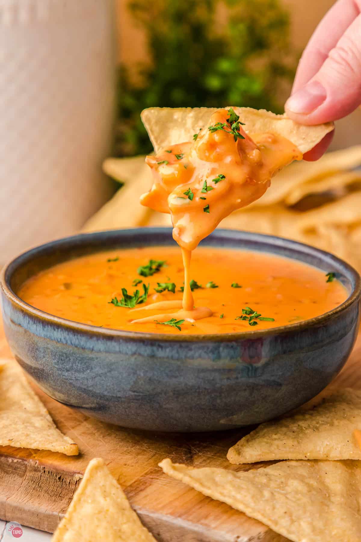 tortilla chip with shrimp and rotel dip on it