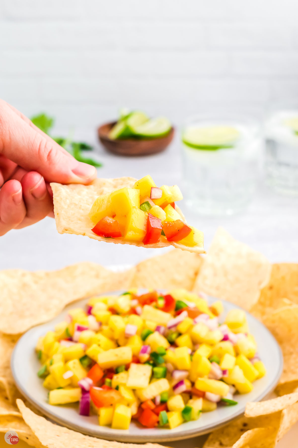 hand holding a tortilla chip with salsa on it