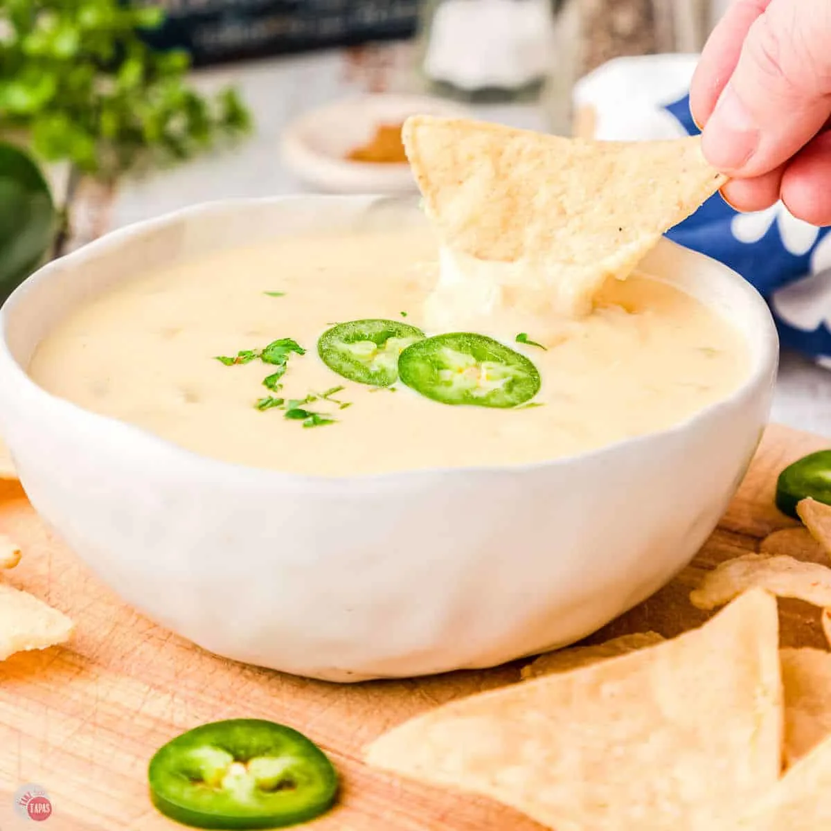 bowl of queso dip with tortilla chips