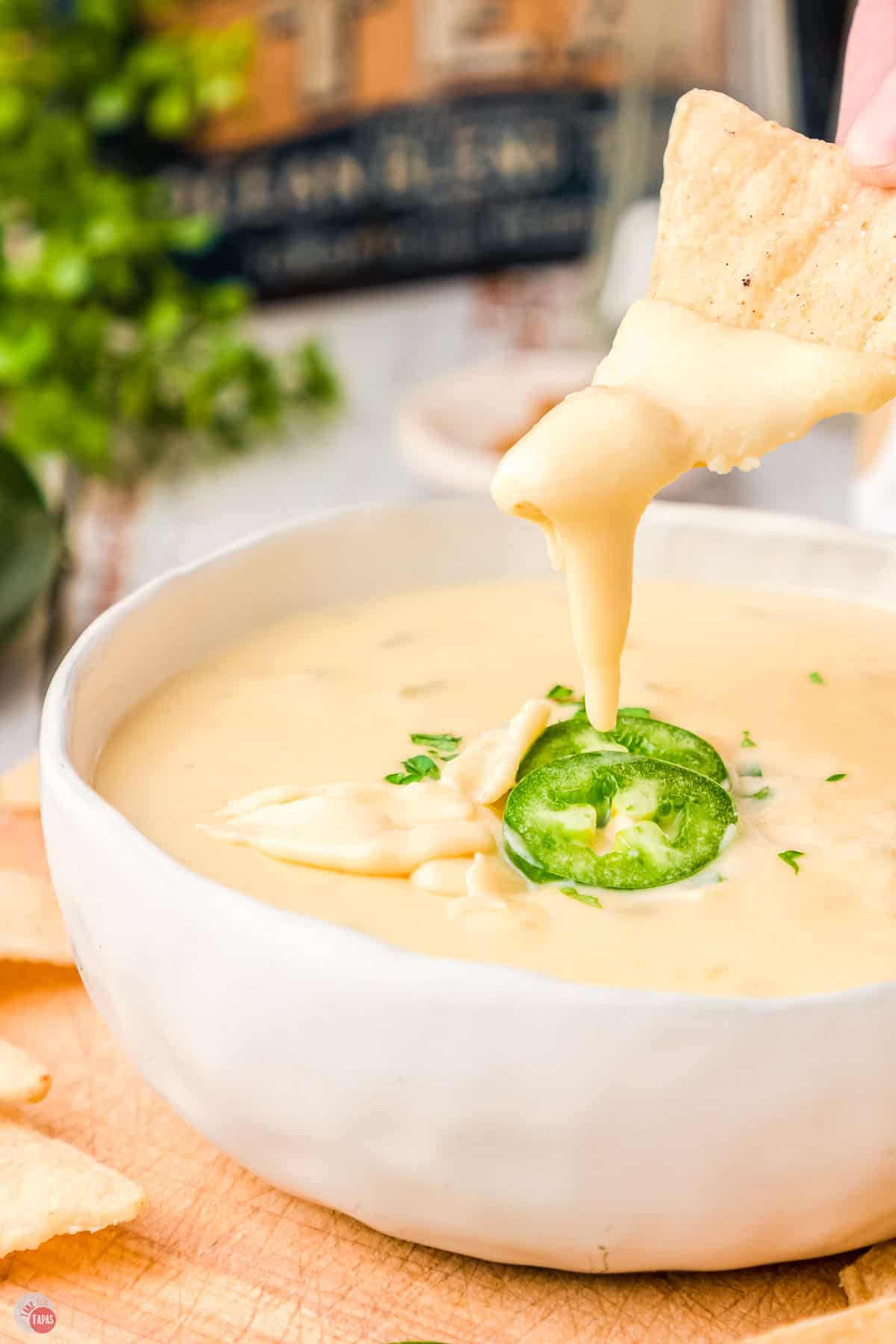 good cheese dip with jalapeno pepper slice and a chip