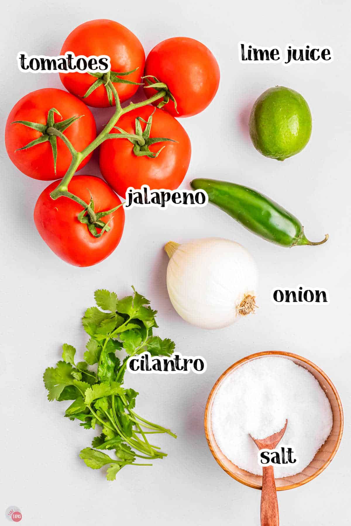 basic ingredients for a homemade salsa recipe