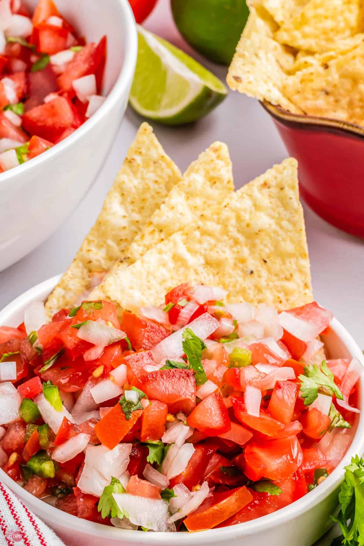 tortilla chips in a bowl with salsa