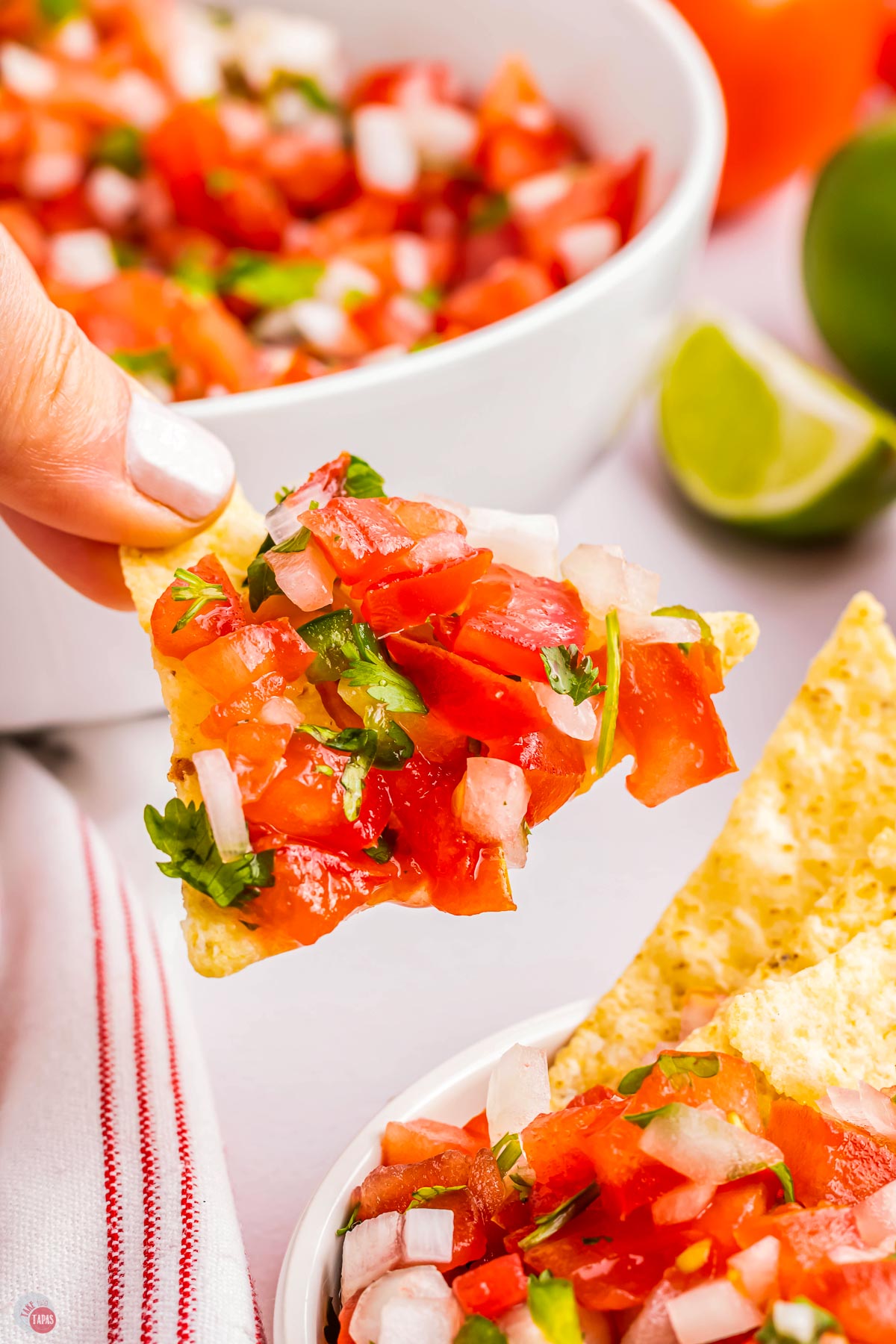 hand holding chip with pico de gallo on it
