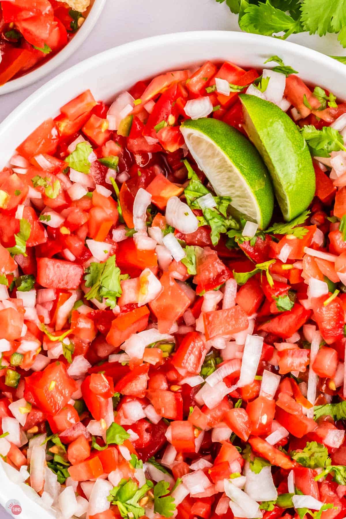 close up of diced tomatoes and onions