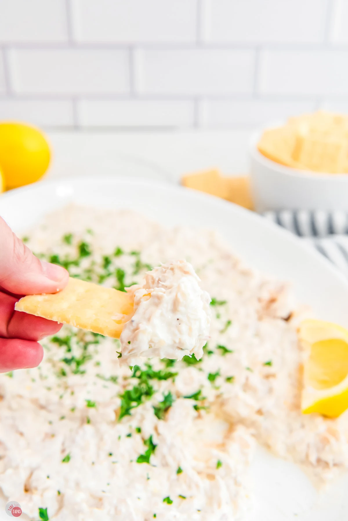 hand holding a cracker with tuna dip on it