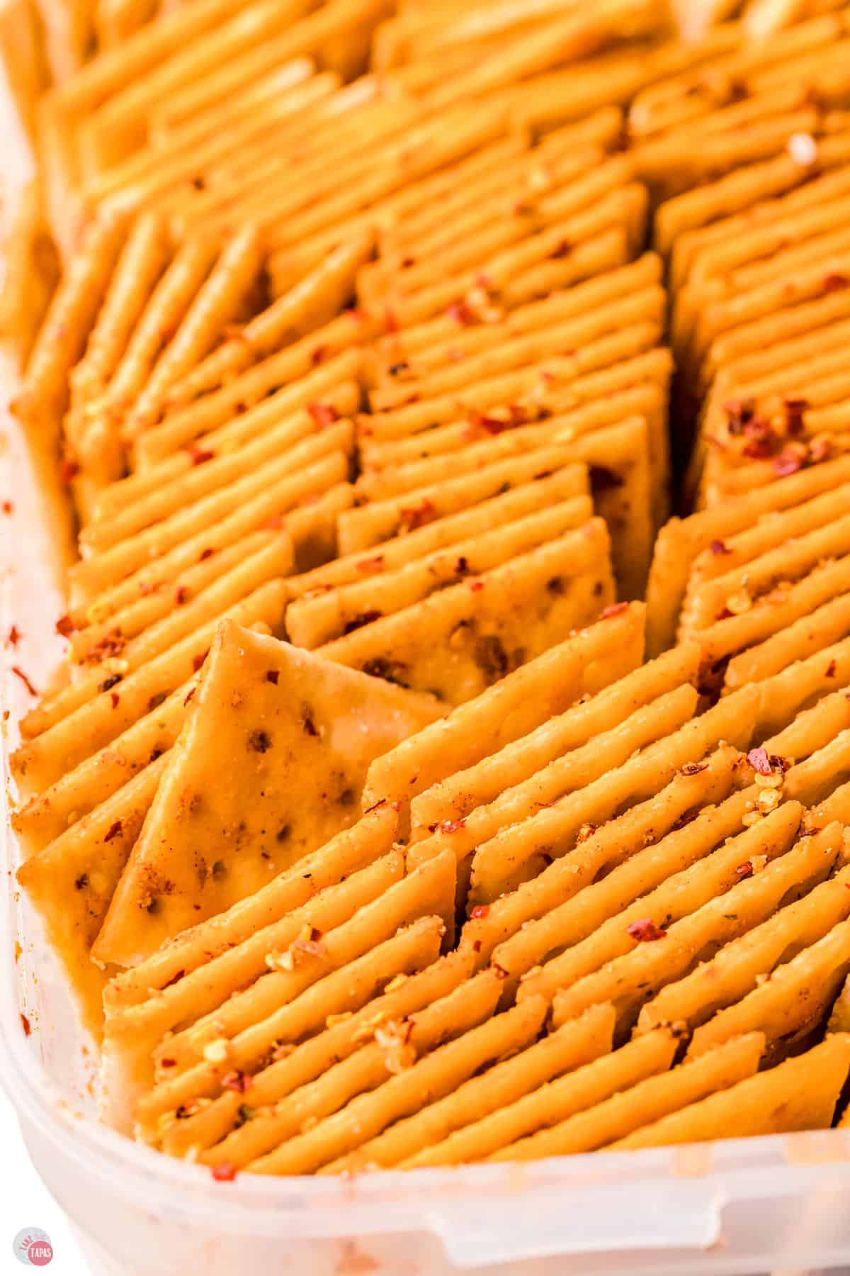 close up of seasoned cracker