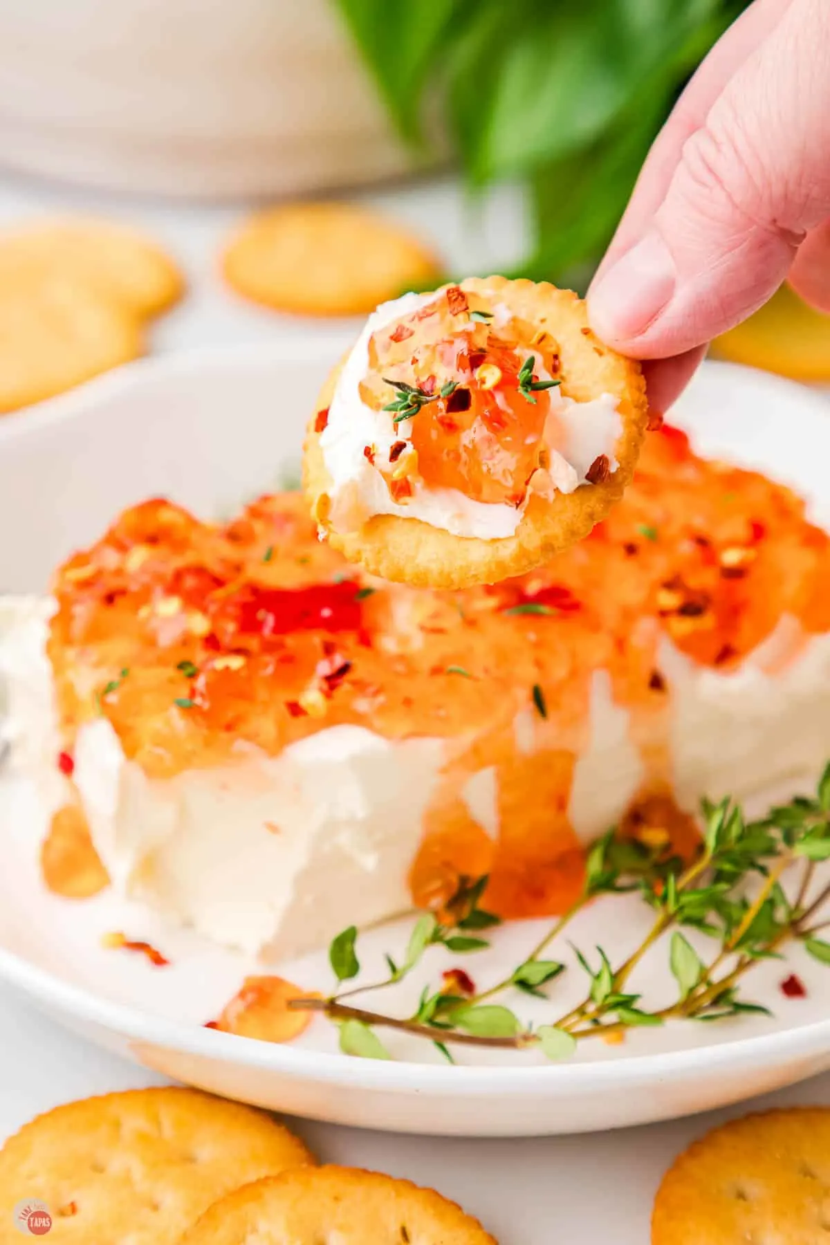 hand holding a cracker with cream cheese and herbs