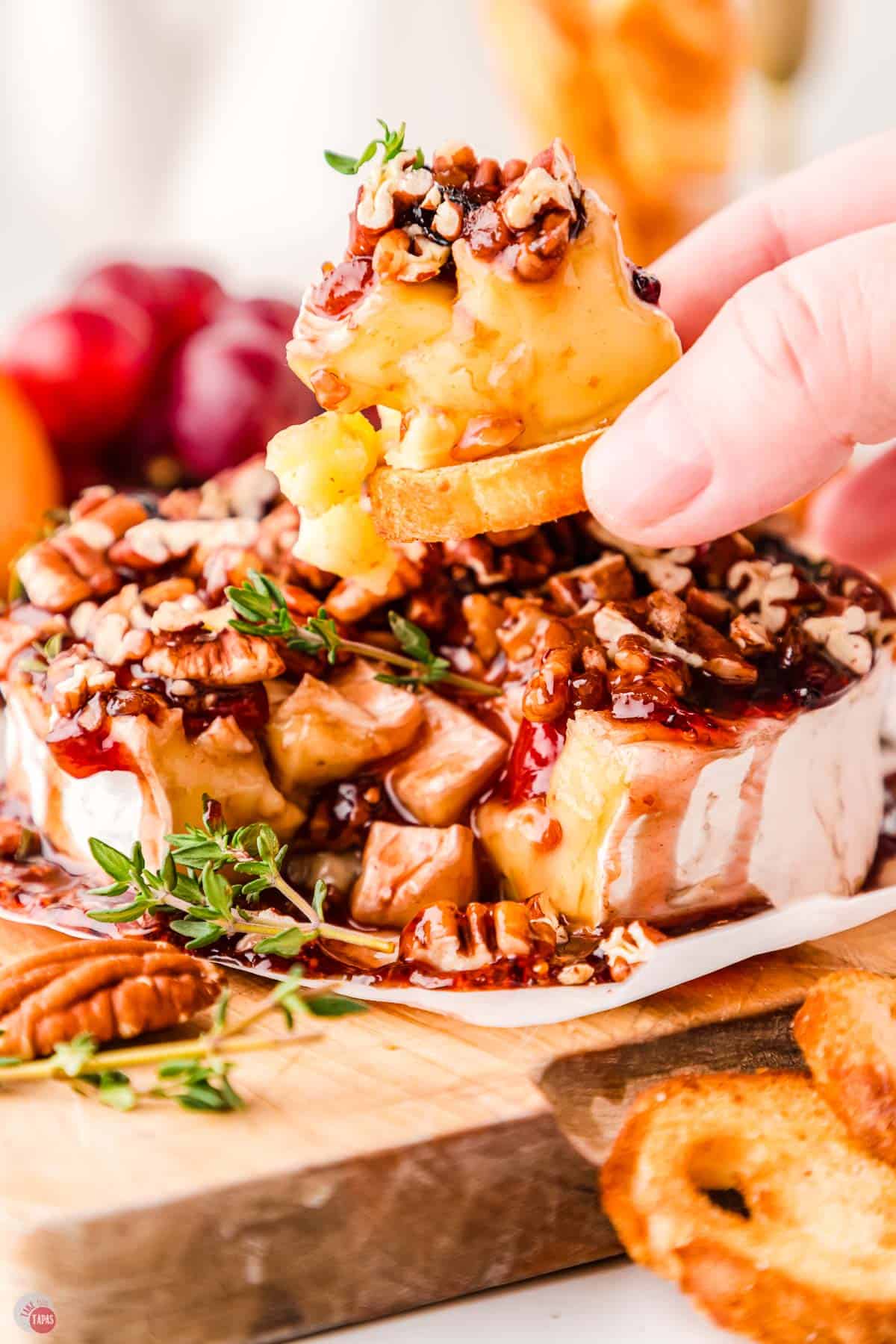 hand holding a crostini with slice of melted brie cheese