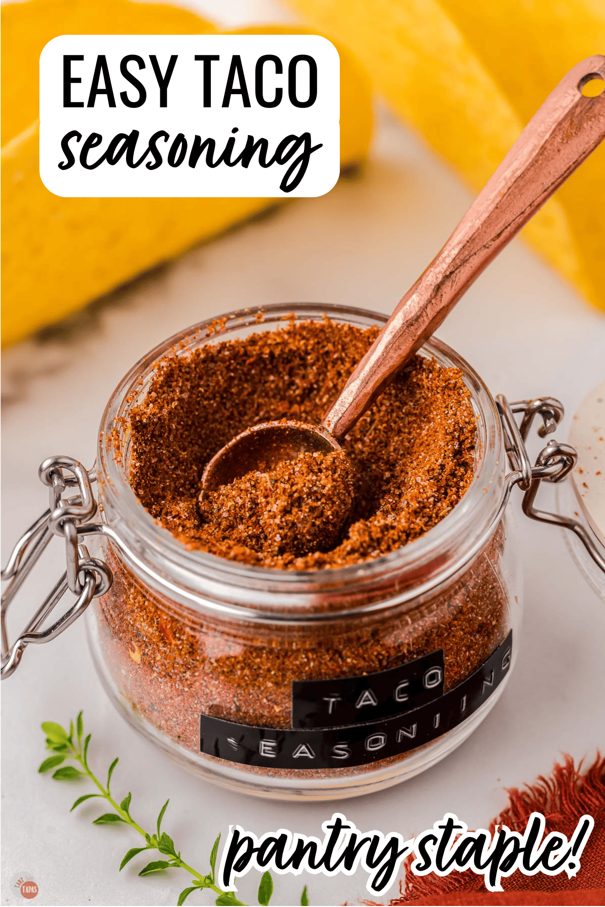 Pinterest pin image for a homemade taco seasoning