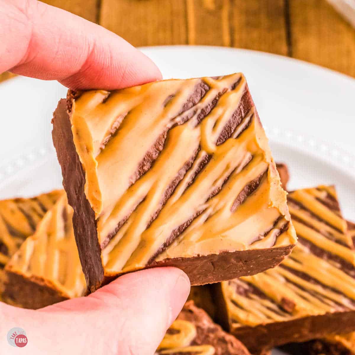 chocolate peanut butter fudge piece in a hand