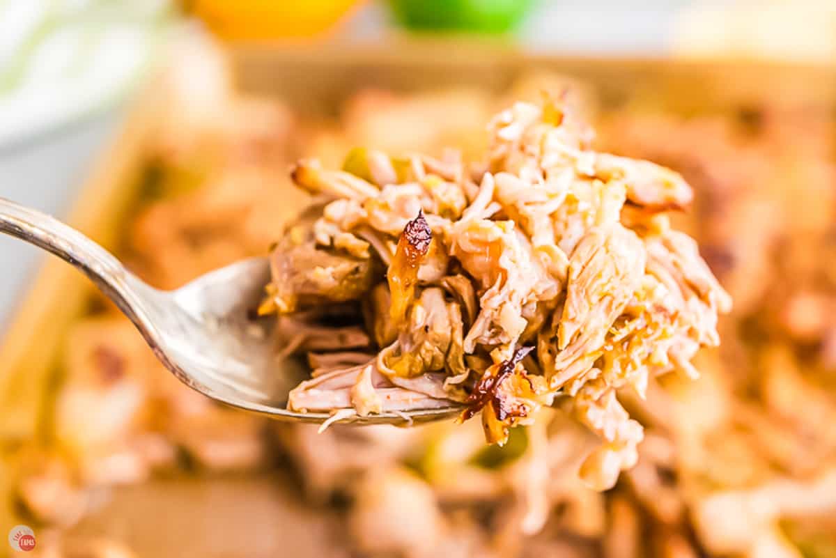 fork of shredded pork