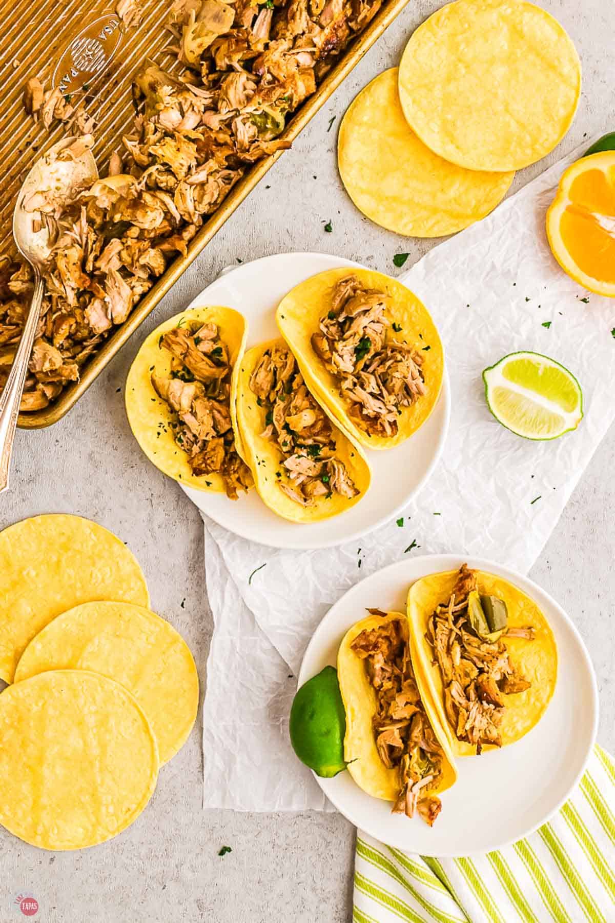 pork tacos in corn tortillas