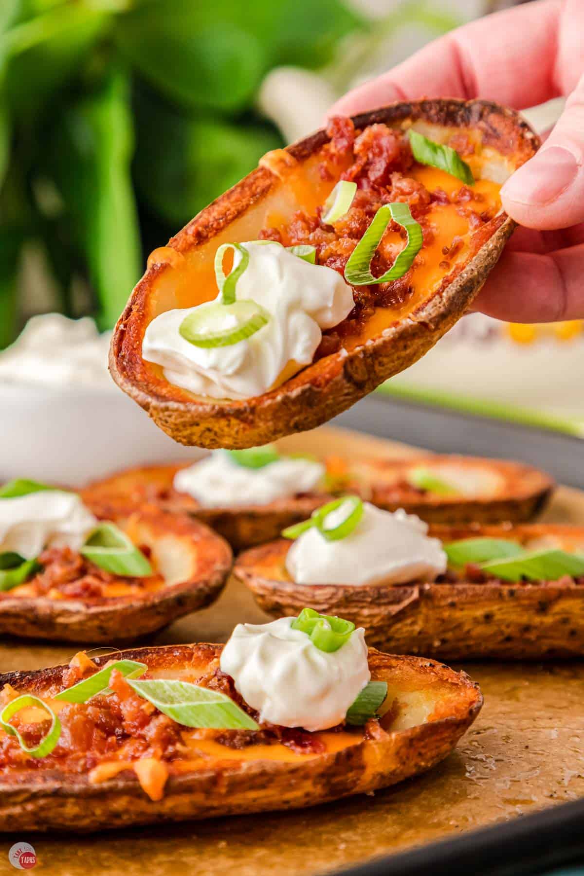 loaded potato skins