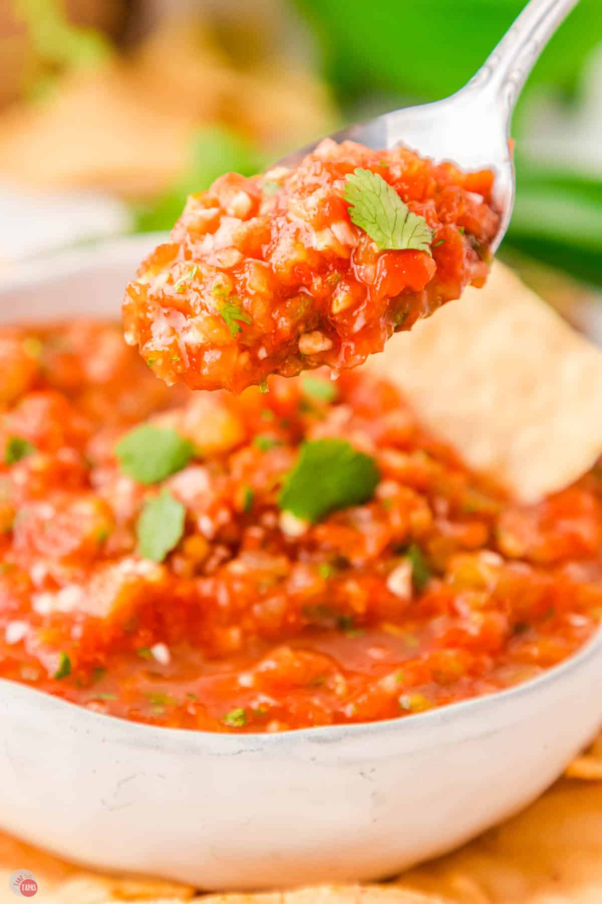 spoon with a scoop of homemade salsa over a bowl with a tortilla chip
