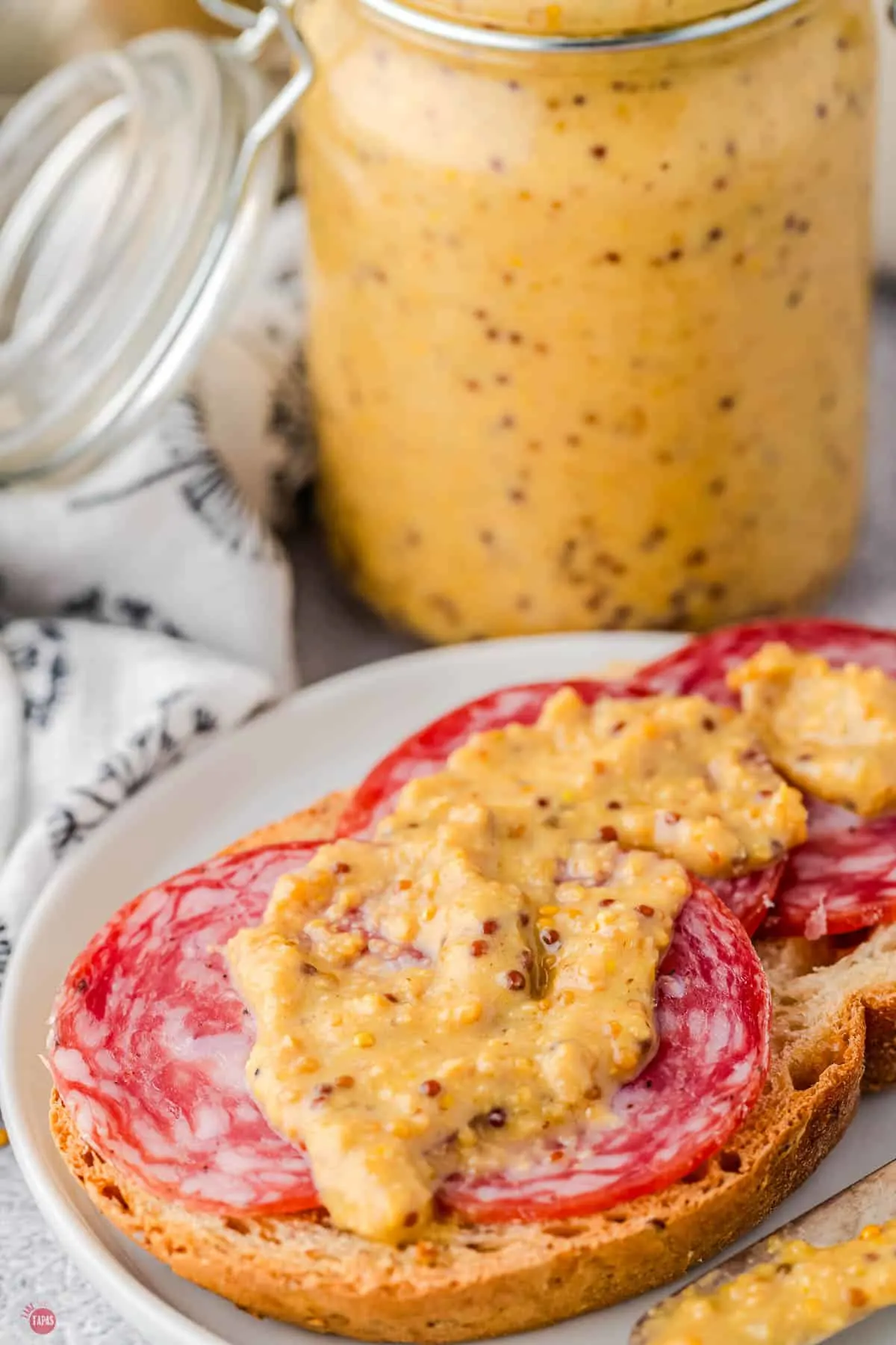 Homemade Whole Grain Mustard Take Two Tapas